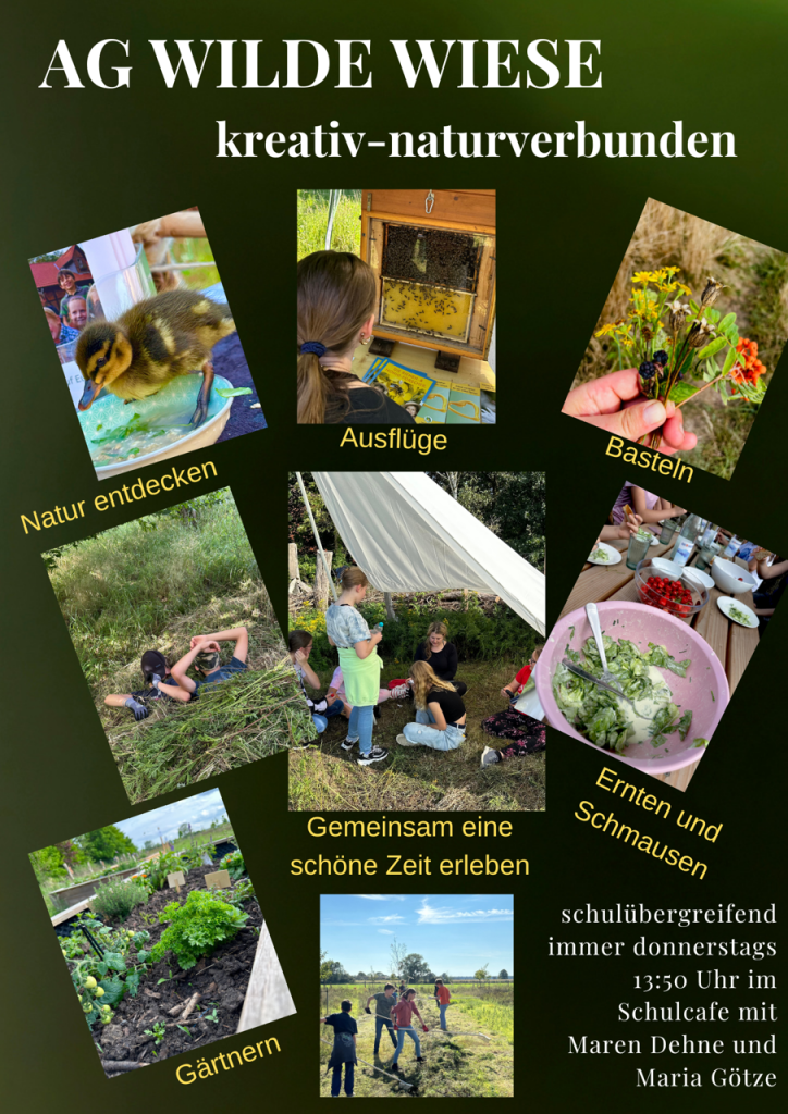 wildewiese2